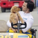 영화: 더 아트 오브 레이싱 인 더 레인 (The Art of Racing in the Rain)정보 줄거리, 결말,추천 이유...