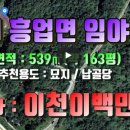 흥부네부동산중개 이미지