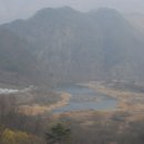 금강머리