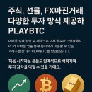 PLAYBTC 후기 – 퍼스트트레이딩과 함께 시작한 나의 첫 FX마진거래, 진입장벽 낮은 재테크 플랫폼 리뷰”