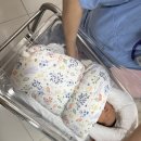 드림분당예치과병원 | 분당제일여성병원 ‘제왕절개 수술 퇴원하는 날 5일차’ 생생 후기