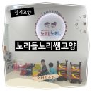노리들노리쌤고양
