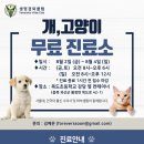 안녕하세요~ VVC 생명경외클럽에서 반려동물무료 진료소를 8/2-8/4까지 불정면 목도초등학교에서 진행합니다! 이미지