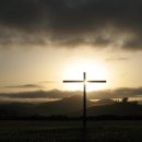 참된교회 이미지