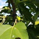 천우환경 이미지