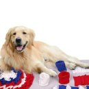 올투디자인 이미지