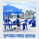 함덕파란집 | 함덕해수욕장 파라솔 대여, 에메랄드 바다 물놀이 2일차