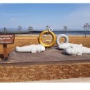 무안황토갯벌랜드 이미지