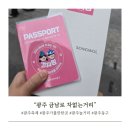 광주놀거리 6월 첫째주 토요일, 금남로 차없는거리 걷자잉