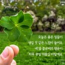 엘쿡