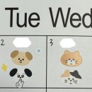 [2월 재능나눔] 나만의 인형 만들기 원데이클래스 <내 손으로 꾸미는 모루인형 2/24> | 浮游