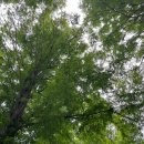 비토 국민여가캠핑장 이미지