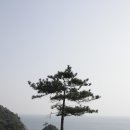 해금강 이미지