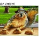 썬더 티스토리