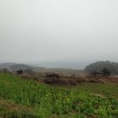 동아대MBA태권도 이미지