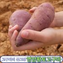 더일구다