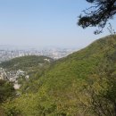 장원초교 이미지