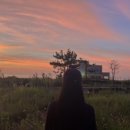 646미터퍼세크 이미지