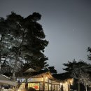 조가네갑오징어원주점 이미지