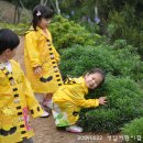 성암어린이집 이미지