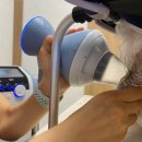 사과나무 한방재활 동물병원 이미지