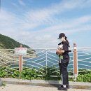 26230-73-06-010 | 여자 런닝화 추천, 브룩스 글리세린19 블랙