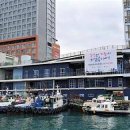 관광지포토서비스 - 춘천시 스포츠타운길 245 | 관광지포토서비스