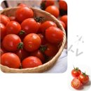 토마토 이미지