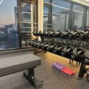 네추럴핏 이미지