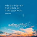 보라만물