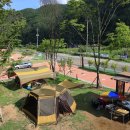 홍천강 자라바위 오토캠핑장 이미지