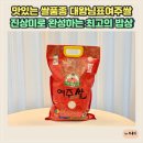 진상미로 이미지