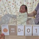 새힘병원 | 울산맘스병원 제왕절개 후기, 출산 후 3~4일차 회복 기록