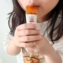 금산농업협동조합 | 금산인삼농협 아이홍삼 어린이영양제 후기, 어린이홍삼젤리 망고맛 키즈홍삼 젤리스틱 솔직리뷰