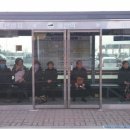 예산-11 이미지