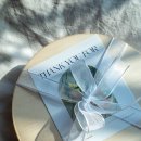 정류장_대구1구(3260196) | 대구 명절 답례품 상견례 선물 우아미 화과자