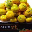 윤이 농장 이미지