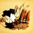 경희청정한의원 이미지