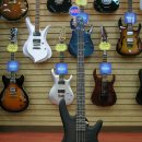 대조-011 이미지