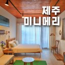 [제주 서귀포 숙소] 미니메리 10만원 이하 가성비 감성 에어비앤비 무료 조식 후기
