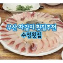 가성비 신선도 맛 다 좋아서 이곳만 가는 부산 로컬 추천 자갈치 횟집, 솔직후기 , 수정횟집