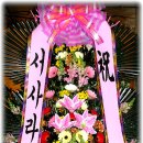 파동약국 Daum카페