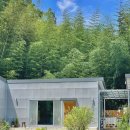 사시장청 이미지