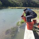 철마광장 이미지