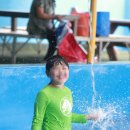 감나무집 농원펜션 이미지