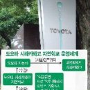 자연 엔 환경 아시아경제