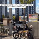 물건 사러간 할아버지 기다리는 멍멍이들 이미지