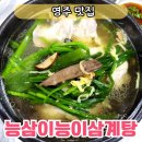 능삼이삼계탕 | 영주맛집 능이백숙이 맛있는 능삼이능이삼계탕