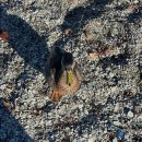 리마커블짐 | 25.05.18-25.05.27 : 사실 원래 뉴질랜드 워홀 준비중이었는데 계획이 좀 틀어져서 뒤질랜드로 가게...