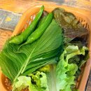 설봉산숯불닭갈비 - 이천시 설봉로29번길 47 | [내돈내산] 여수 학동 부삼 닭갈비 맛집 설봉산 숯불닭갈비